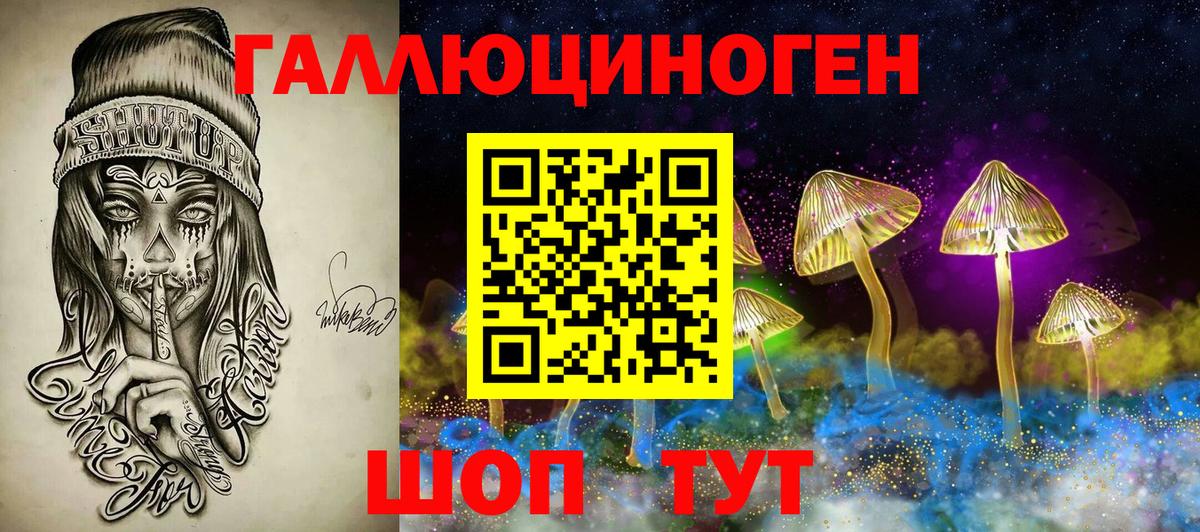 Псилоцибиновые грибы мицелий Алексин