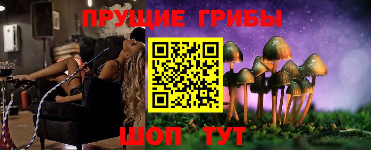Галлюциногенные грибы ЛСД  сколько стоит  Алексин  Галлюциногенные грибы Psilocybine cubensis  Вход с VPN 